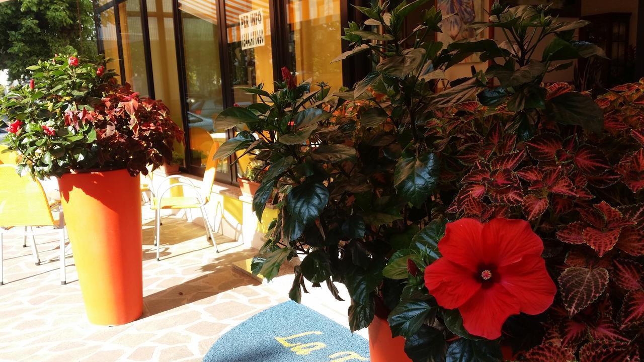 Hotel La Falena チェルヴィア エクステリア 写真